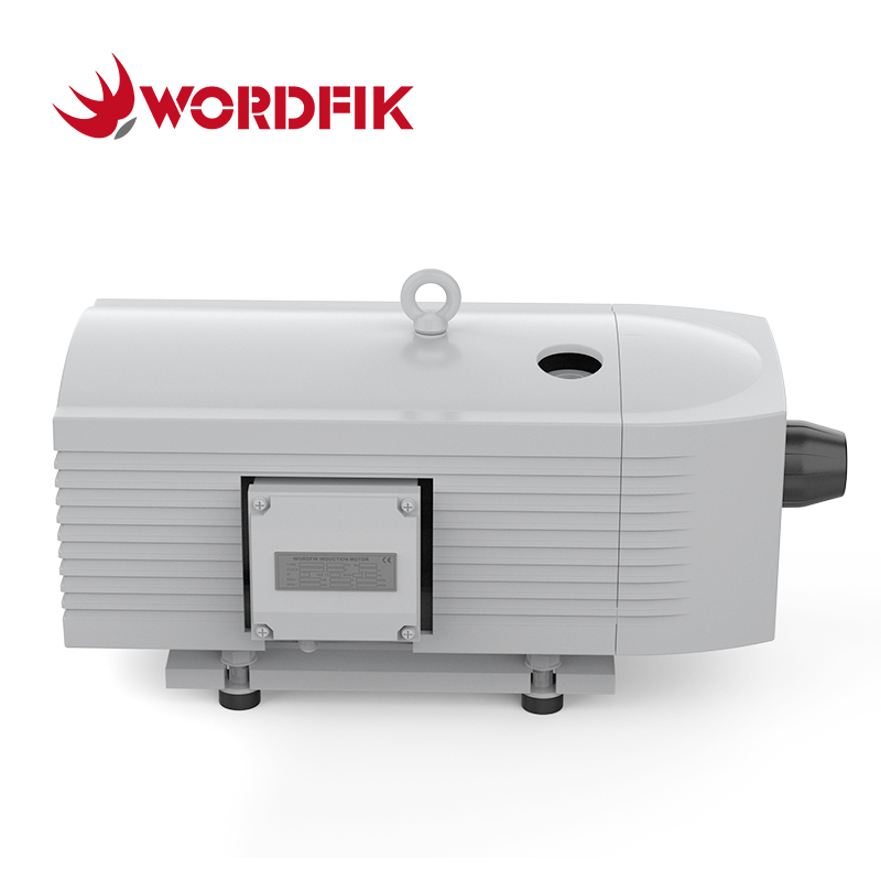 40m³/h 48m³/h VD40 Dry Rotary Vane Vacuum Pump
