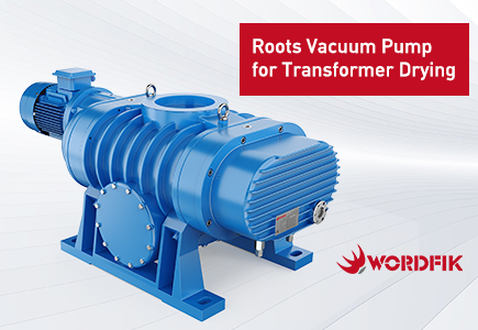 Roots Vacuum Pump for Transformer Drying