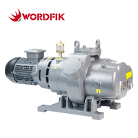 Wordfik RTOW Series Roots Vacuum Pumps