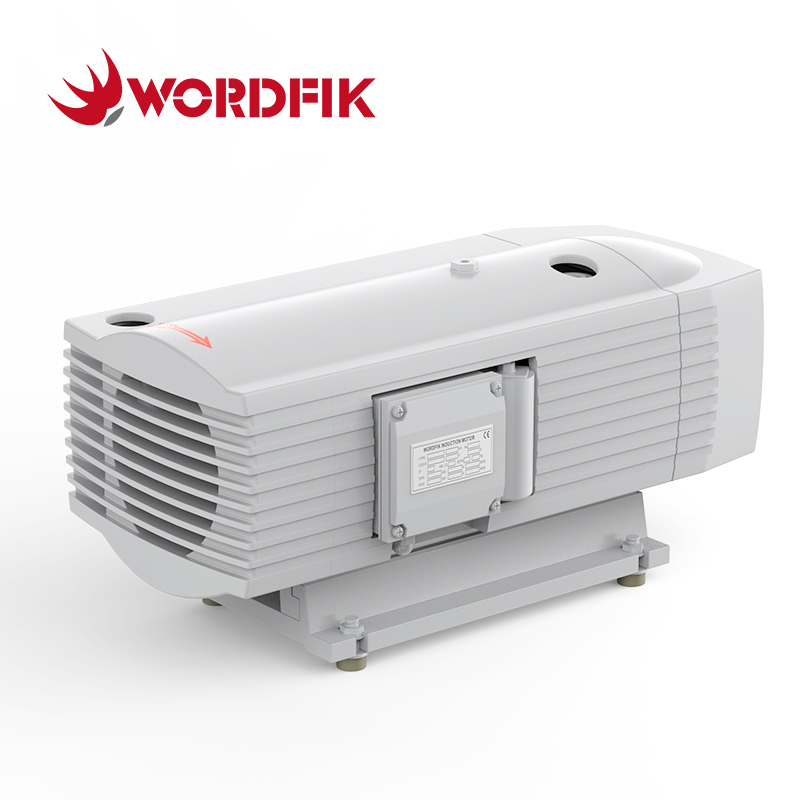 Wordfik TD10 Dry Rotary Vane Compressor 10m³/h 12m³/h +1000mbar