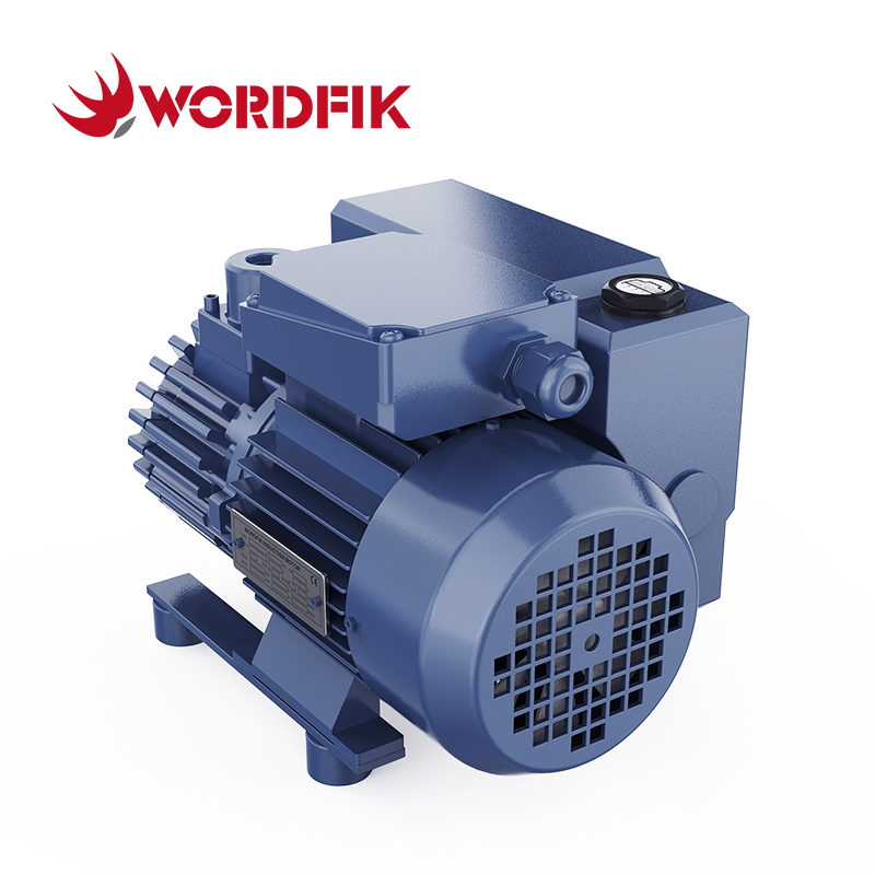 Wordfik PVX16 Small Oil-Sealed Rotary Vane Vacuum Pump 16-19m³/h