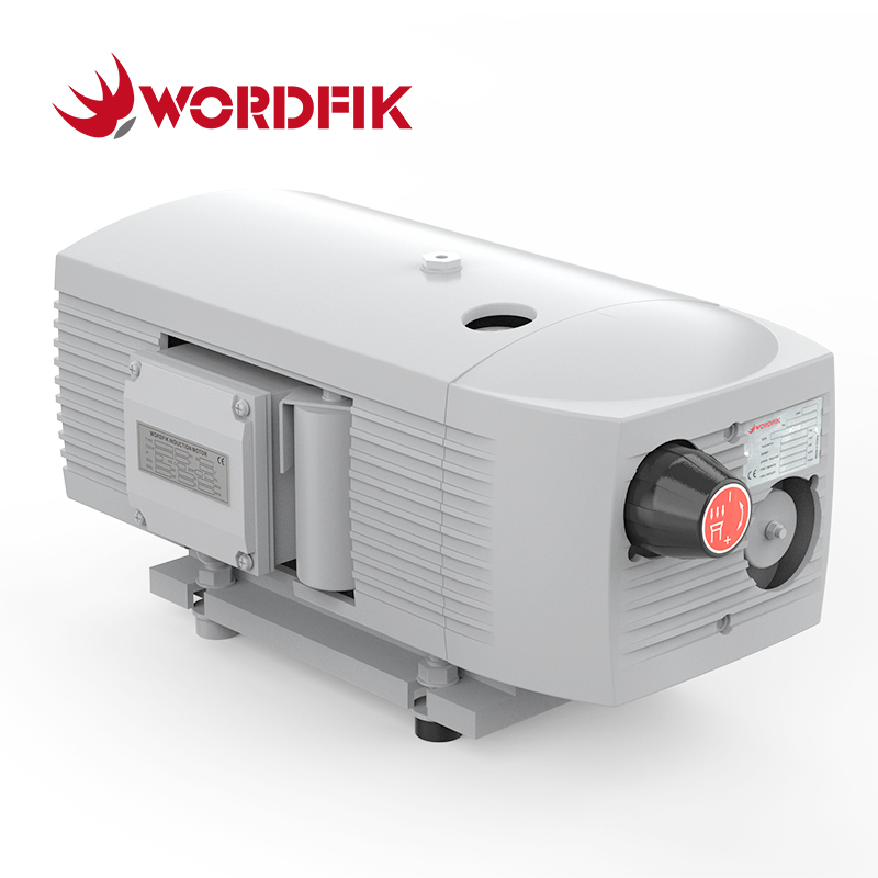 VD10 10m³/h 12m³/h 150mbar Dry Rotary Vane Vacuum Pump