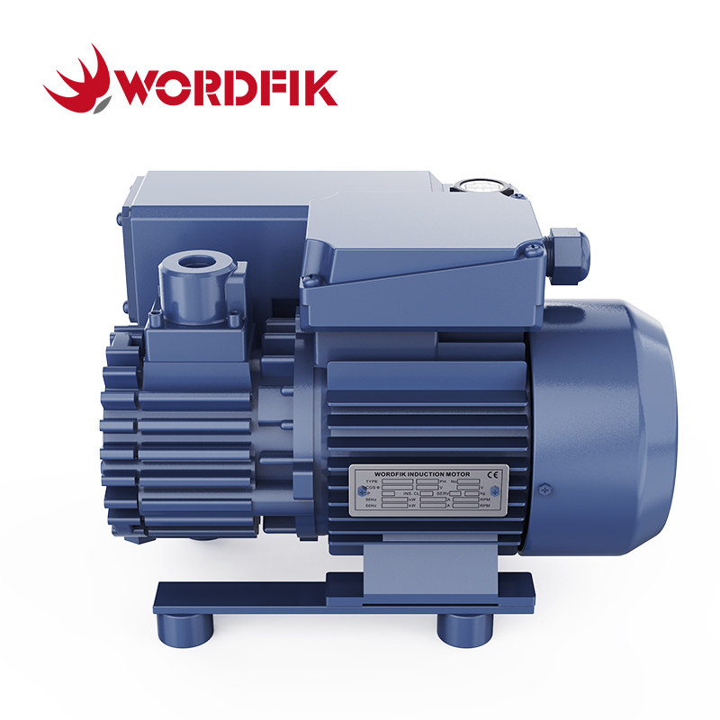 Wordfik PVX16 Small Oil-Sealed Rotary Vane Vacuum Pump 16-19m³/h