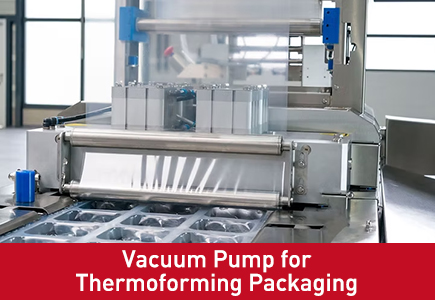 Vacuum Pump for Thermoforming Packaging