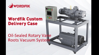 oil-sealed rotary vane roots vacuum system_504_283.jpg