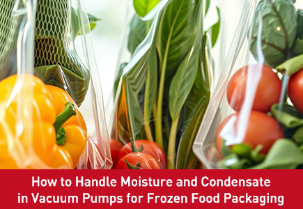 How to Handle Moisture and Condensate in Vacuum Pumps for Frozen Food Packaging