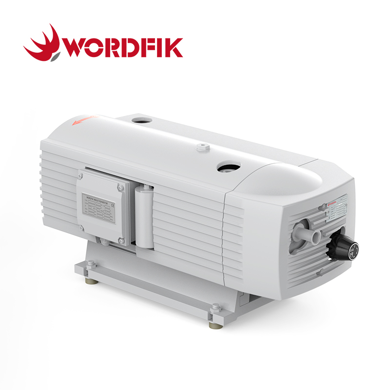 Wordfik TD10 Dry Rotary Vane Compressor 10m³/h 12m³/h +1000mbar