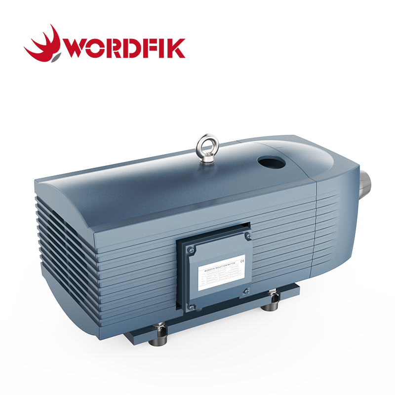 40m³/h 48m³/h VD40 Dry Rotary Vane Vacuum Pump