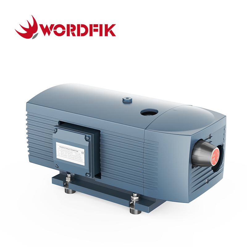 VD10 10m³/h 12m³/h 150mbar Dry Rotary Vane Vacuum Pump