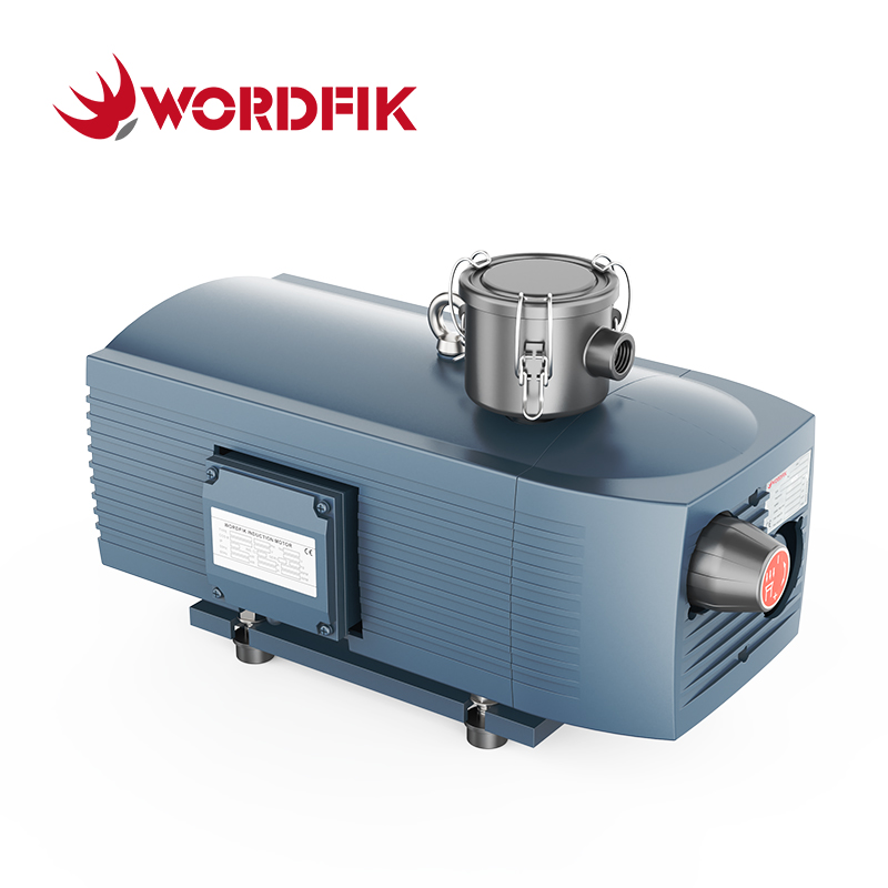 VD25 25-30m³/h Dry Rotary Vane Vacuum Pump No Oil Operation