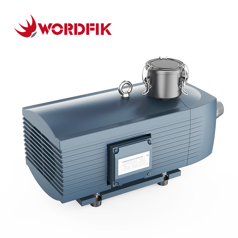 VD25 25-30m³/h Dry Rotary Vane Vacuum Pump No Oil Operation