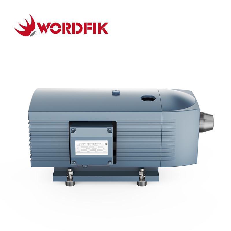 VD10 10m³/h 12m³/h 150mbar Dry Rotary Vane Vacuum Pump